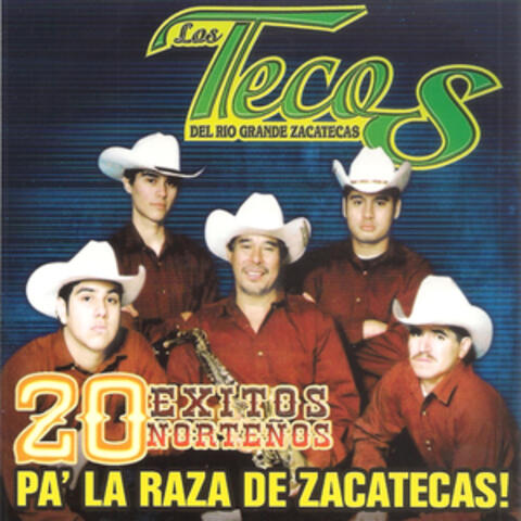 20 Exitos Norteños