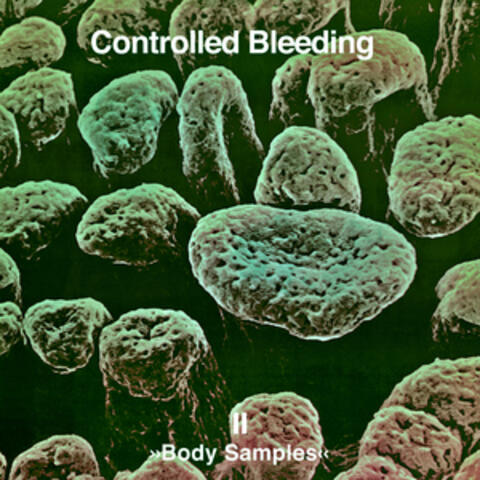 Body Samples II