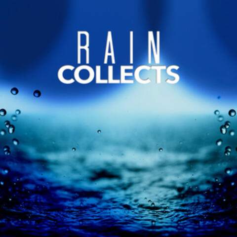Rain Collects