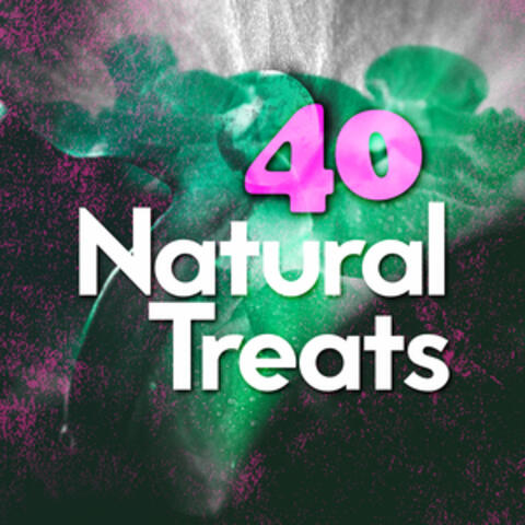 40 Natural Treats