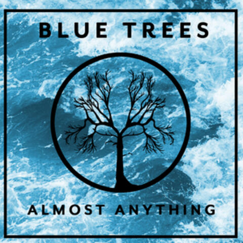 Almost Anything