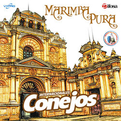 Chapicumbias 2: Ritmos y Palmeras / Cobanerita / Concepción Tutuapa / La Tempestad