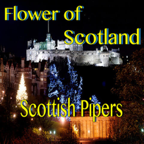 Scottish Pipers