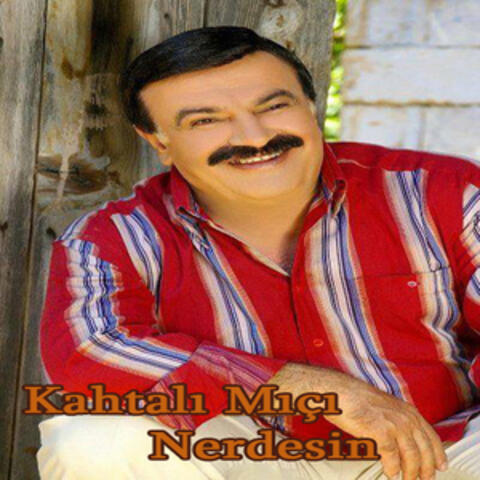 Nerdesin