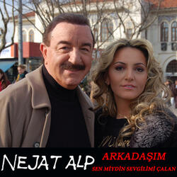 Arsız Bir Kuş