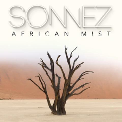 African Mist - Single