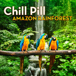 On the Banks of Amazon - Floating