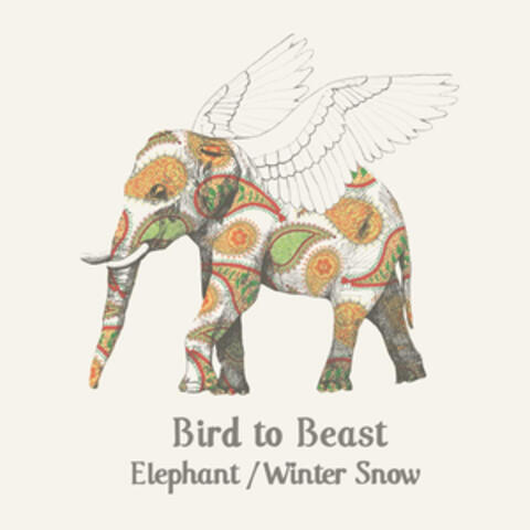 Elephant / Winter Snow