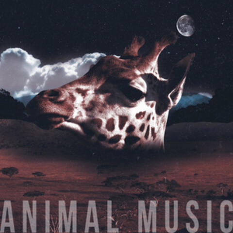 Animal Music