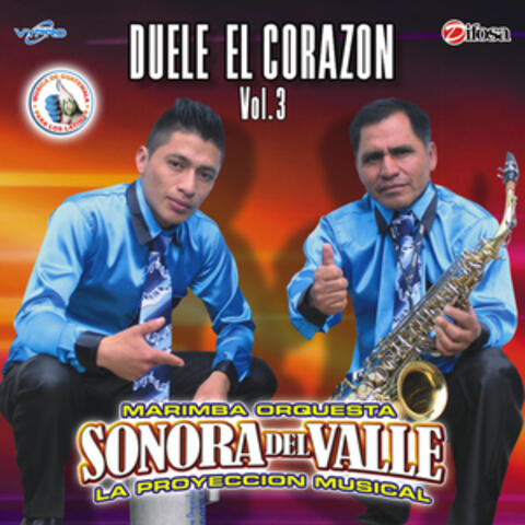 Duele el Corazón Vol. 3. Música de Guatemala para los Latinos