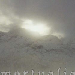 Devoid of Warmth