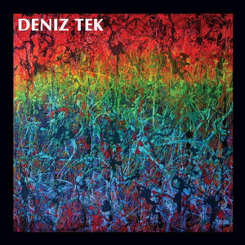 Deniz Tek