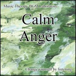 Calm the Anger 6th Stage Investigation