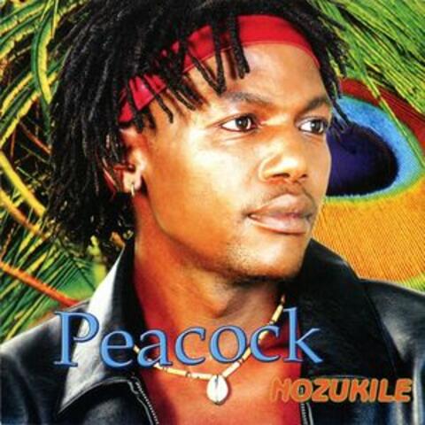 Nozukile