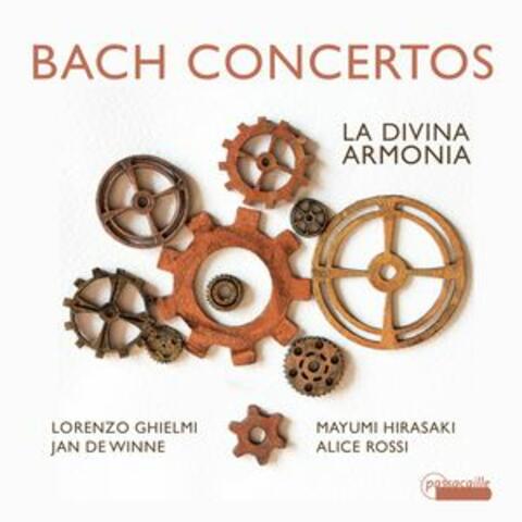 Bach: Concertos (BWV 1042,1044, 1052) and Cantata 'Non sa che sia Dolore' (BWV 209)