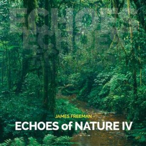 Echoes of Nature IV