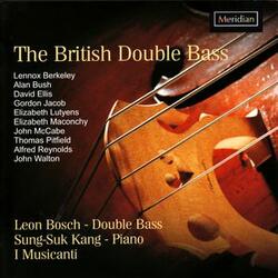 A Little Concerto for Double Bass and String Orchestra: II. Largo