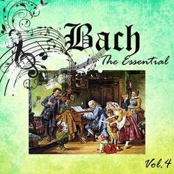 Cello Suite No. 5 in C Minor, BWV 1011: III. Courante