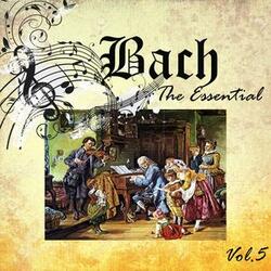 Cello Suite No. 3 in C Major, BWV 1009: IV. Sarabande