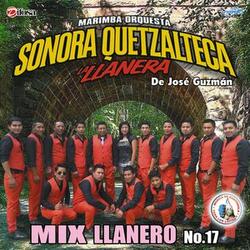 Mix Llanero 17: La Traicionera / Cuando Quieras Verme