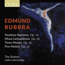 Nine Tenebrae Motets, Op. 72 First Nocturne: III. Ecce vidimus eum