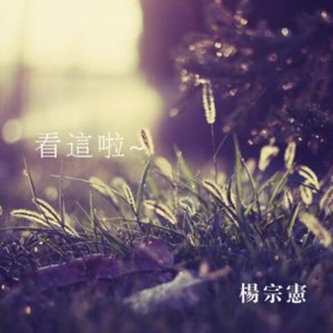 看這啦