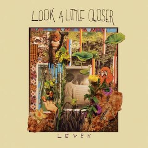 Look a Little Closer