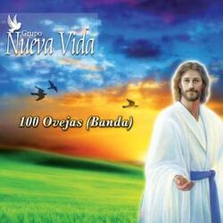 100 Ovejas
