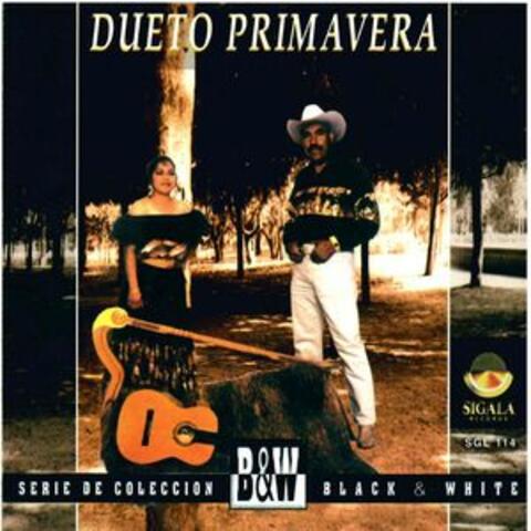 Serie de Coleccion