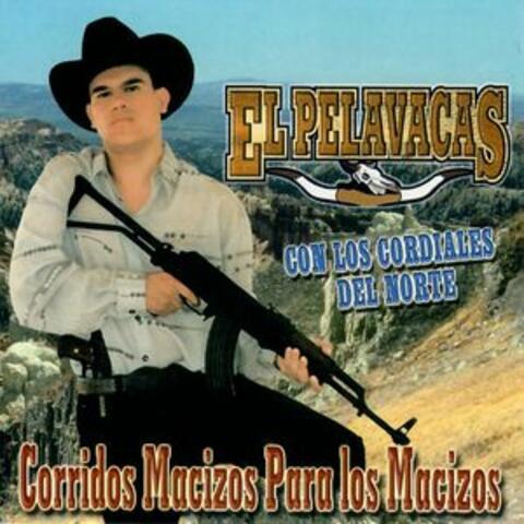 Corridos Macizos para los Macizos