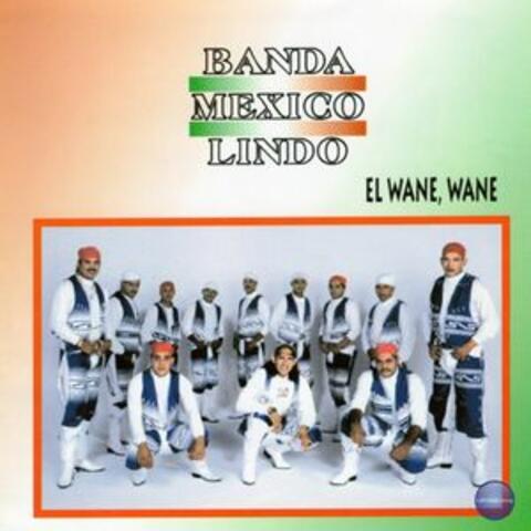El Wane, Wane