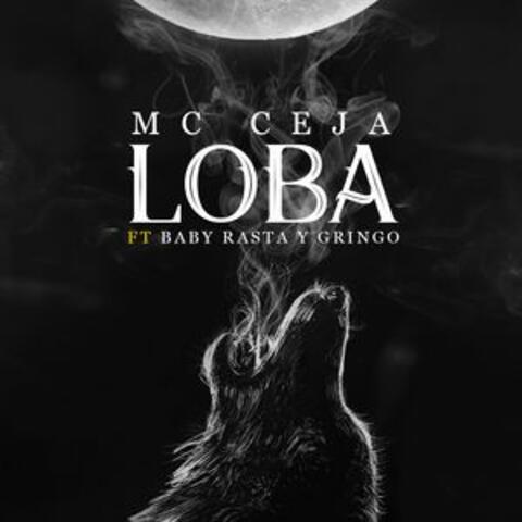 Loba