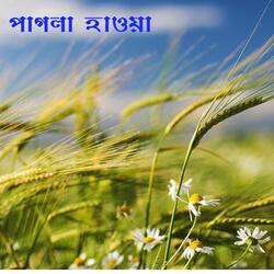 Ghum Peyechhe Bari Ja