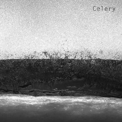 Celery