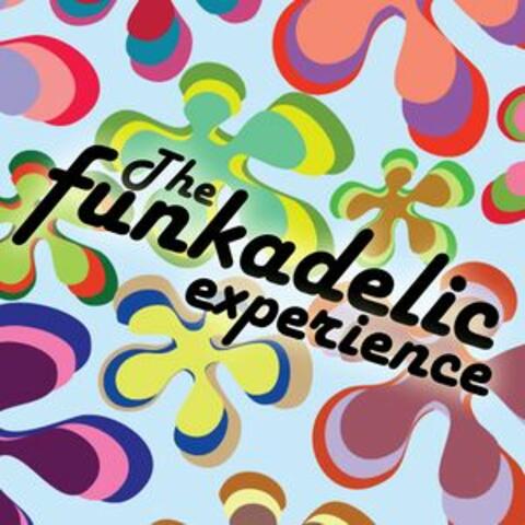 The Funkadelic Experience