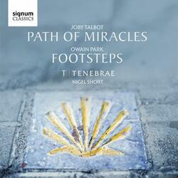 Path of Miracles: IV. Santiago