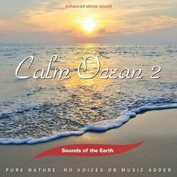 Calm Ocean 2