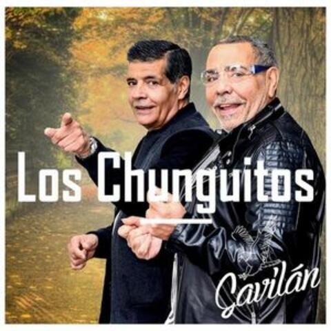 Gavilán