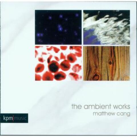 The Ambient Works