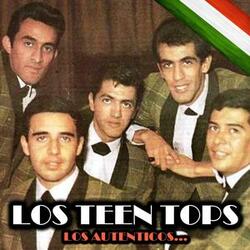 Voy Bien o Me Regreso