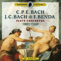 Concerto for Flute, Harpsichord and Strings in E Minor, II:4: II. Adagio