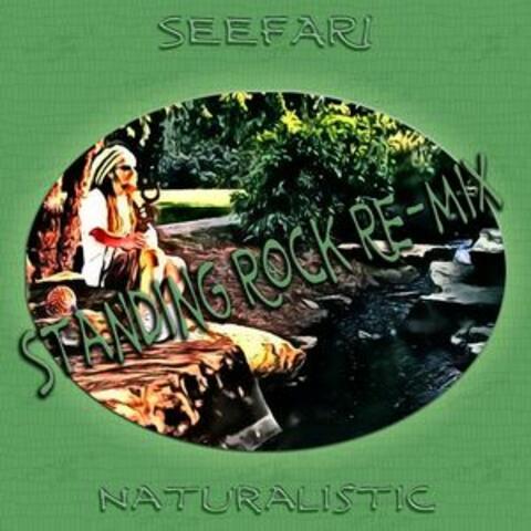Naturalistic (Standing Rock Remix)