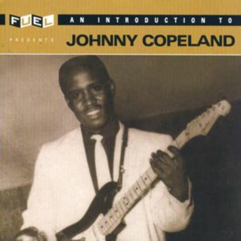 An Introduction To Johnny Copeland