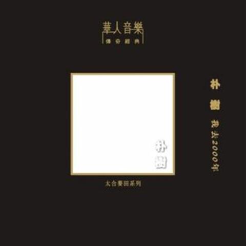 我去2000年