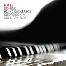 Piano Concerto No. 1 in D Minor, Op. 15: III Rondo - Allegro non troppo