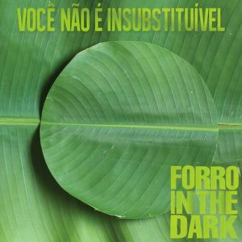 Você Não É Insubstituível