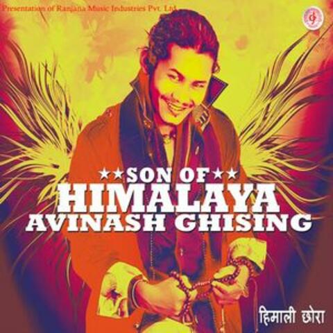 Son of Himalaya - Himali Chhora