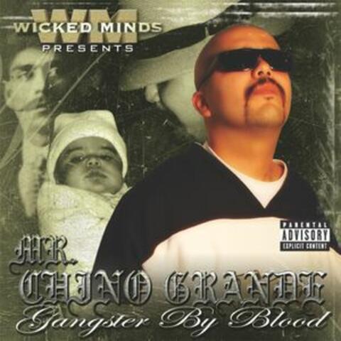 Mr. Chino Grande