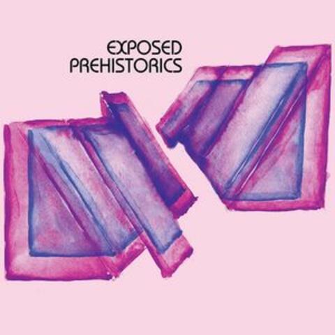 Exposed Prehistorics