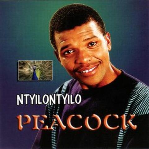 Ntyilontyilo